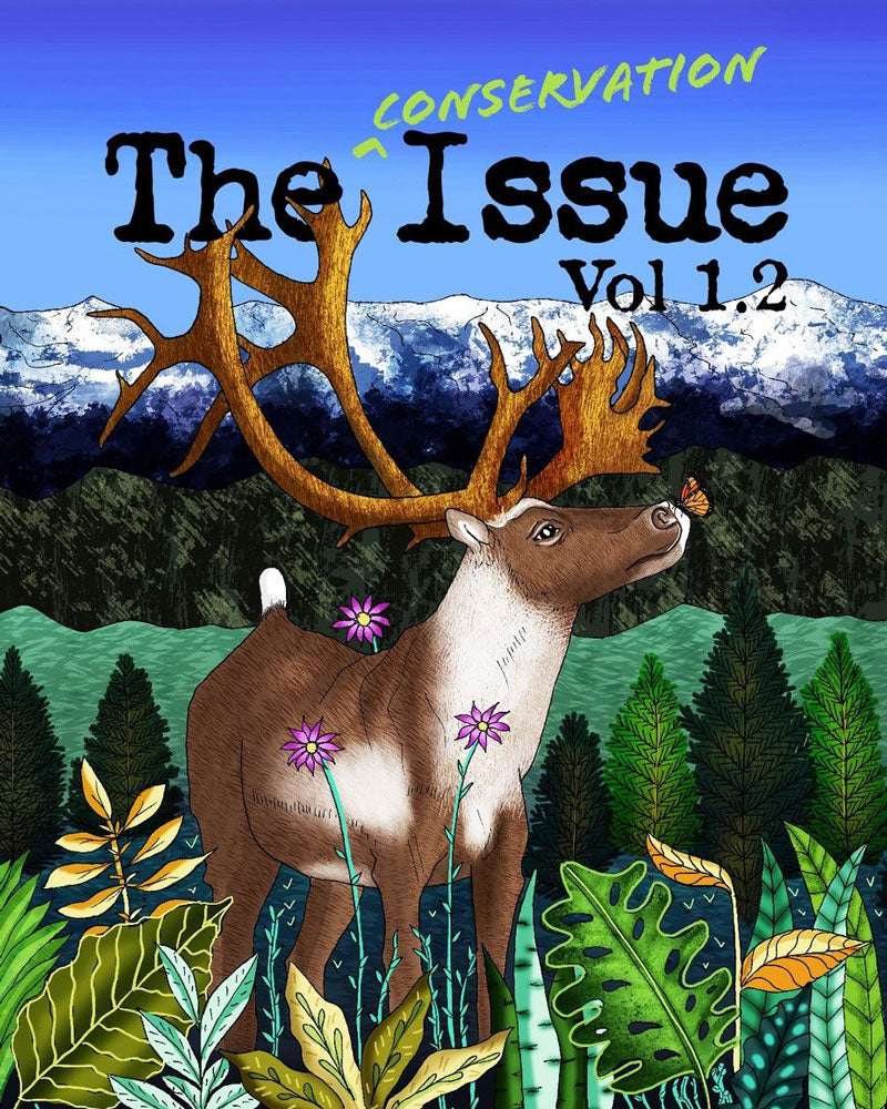 The Conservation Issue | Supplemental