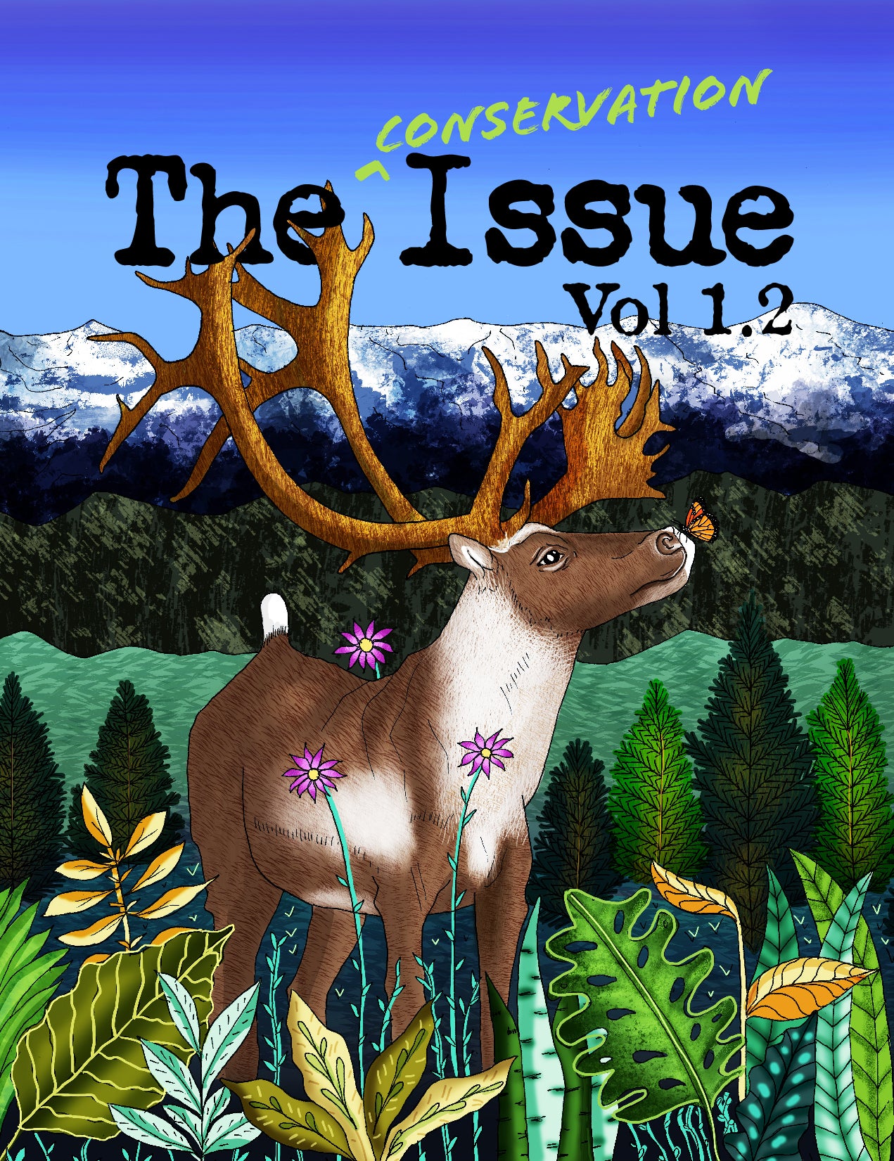 The Conservation Issue 1.2